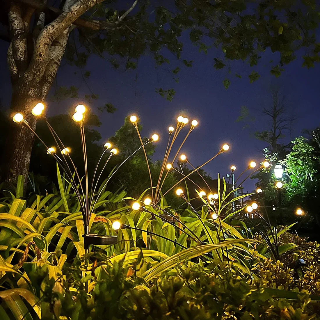 מנורות LED לוציולות – אנרגיה סולארית – אווירה קסומה לגינה שלכם