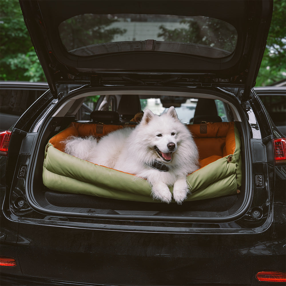 Cadeira de Auto para Cão – Conforto e Proteção