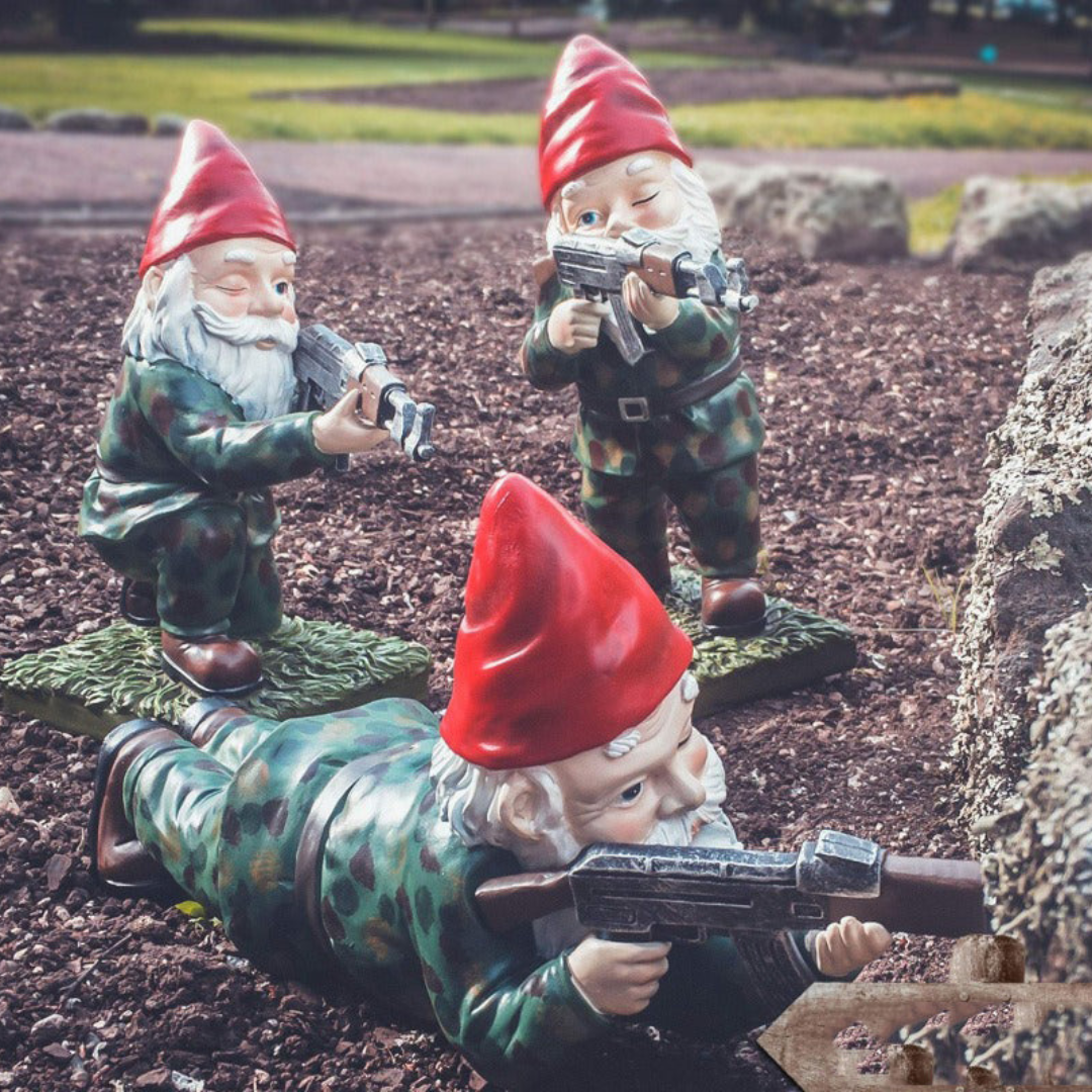 Anão de Jardim Militar – Toque de Humor e Defesa Externa