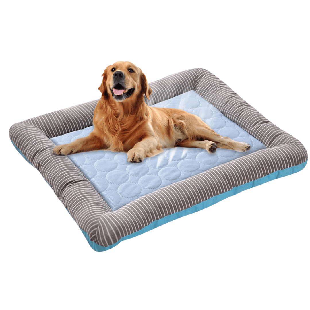 Cooling Cushion For Dogs – Freshness And Comfort In Summer