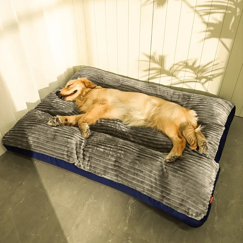 Letto Confortevole Per Cani – Supporto Ottimale E Riposo Sereno