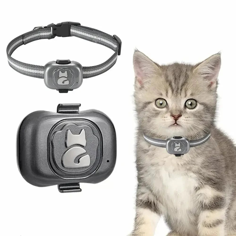 GPS-Tracker-Halsband für Katzen – Einfache und zuverlässige Lokalisierung