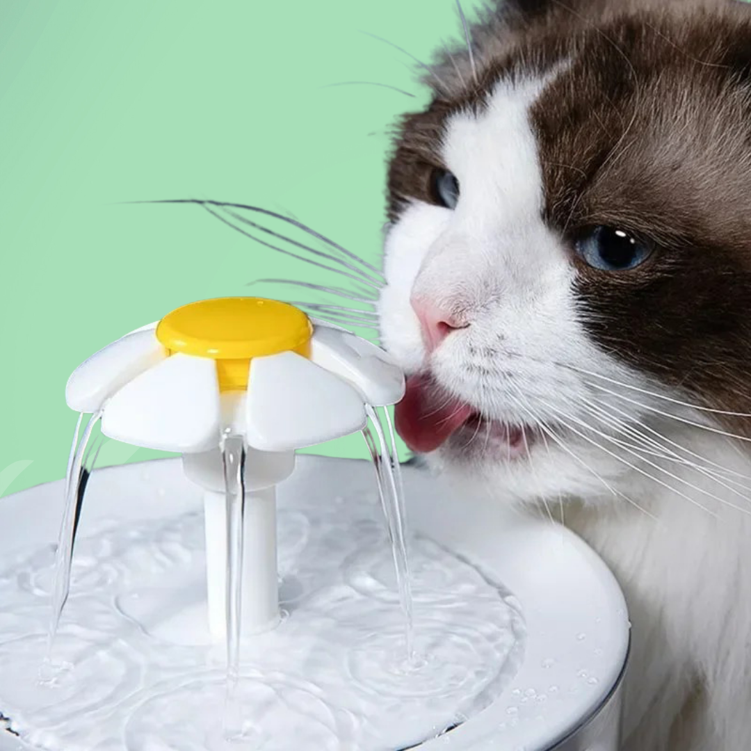 Fuente de Agua Para Gatos — Hidratación Continua y Agua Siempre Fresca 