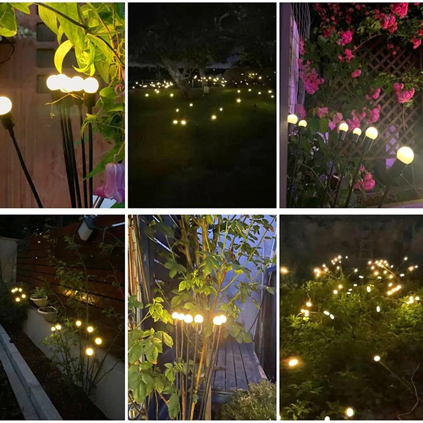 מנורות LED לוציולות – אנרגיה סולארית – אווירה קסומה לגינה שלכם 