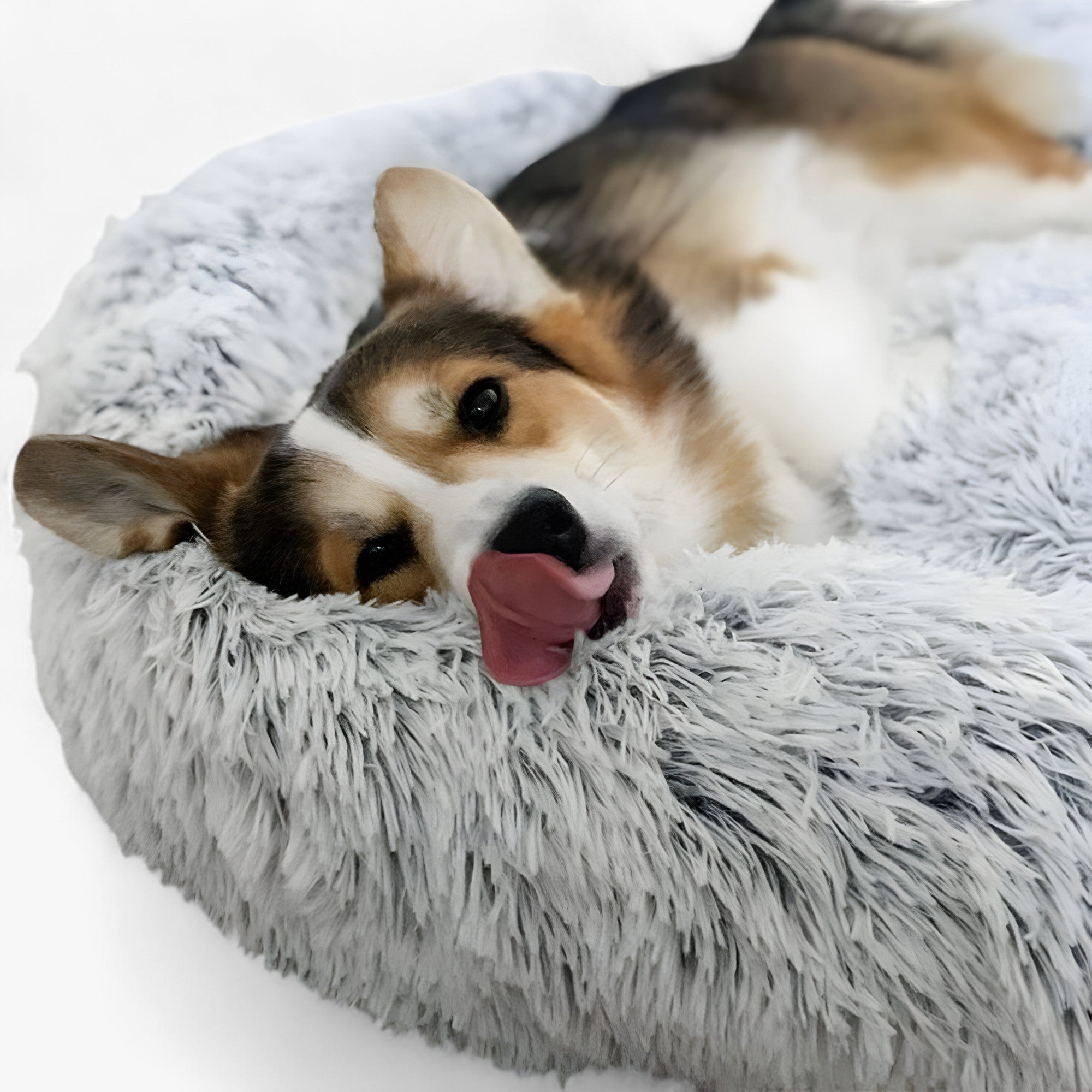 Uspokajające Łóżko Dla Zwierząt – Wygodne i Regenerujące Sen 