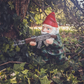 Anão de Jardim Militar – Toque de Humor e Defesa Externa 