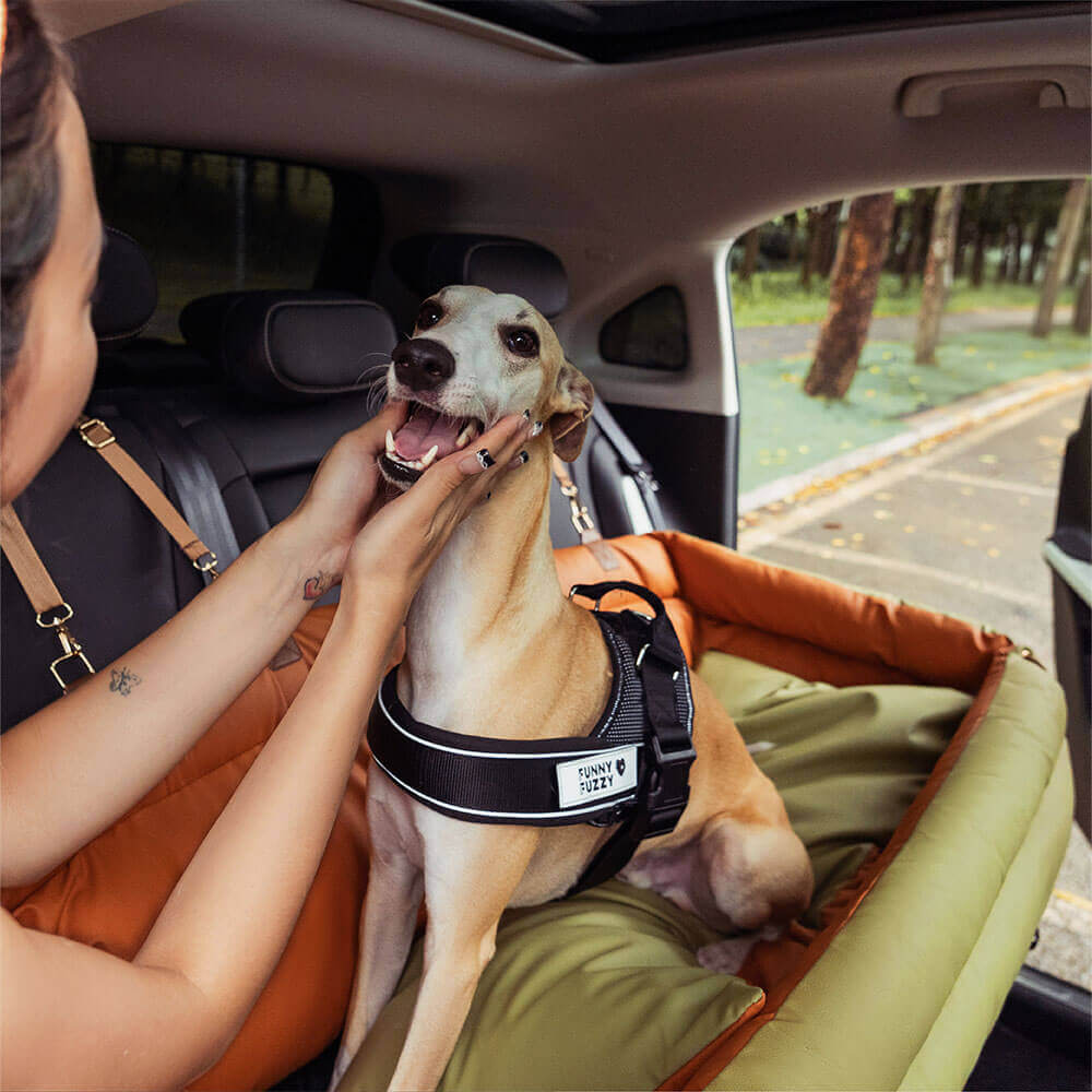 Siège Auto Pour Chien – Confort Et Protection