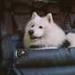 Siège Auto Pour Chien – Confort Et Protection