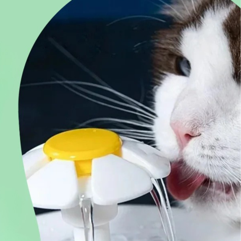 Fuente de Agua Para Gatos — Hidratación Continua y Agua Siempre Fresca 