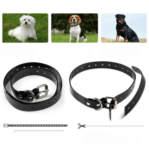 Collier De Dressage Télécommandé – Portée 800 m, Étanche Et Rechargeable