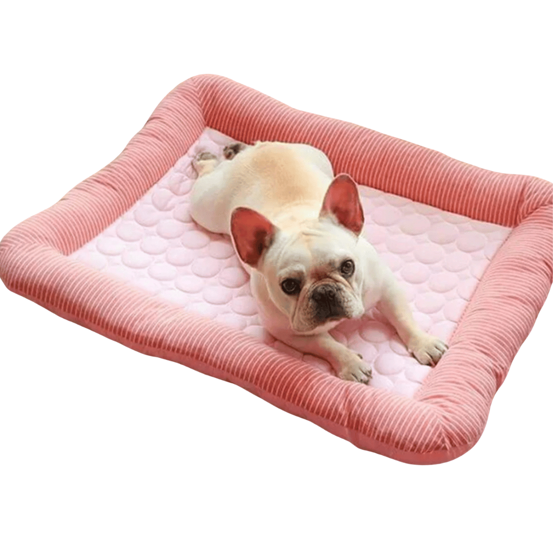 Coussin Rafraîchissant Pour Chien – Fraîcheur Et Confort En Été