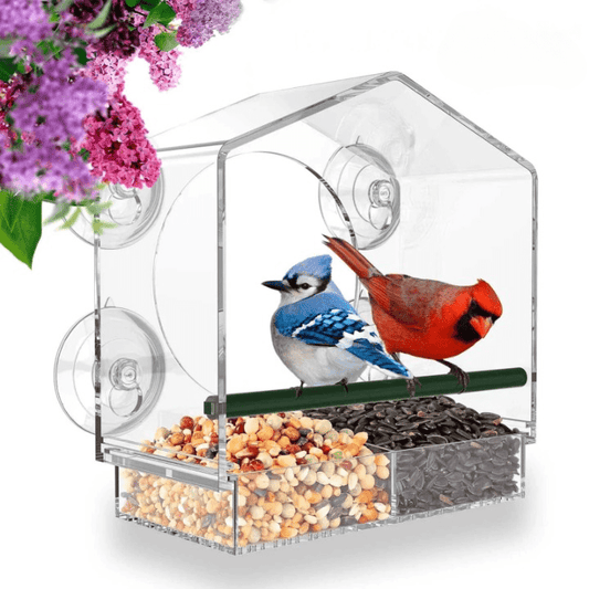 Mangeoire Transparent - Nourrissez Et Observez Les Oiseaux Depuis Votre Fenêtre